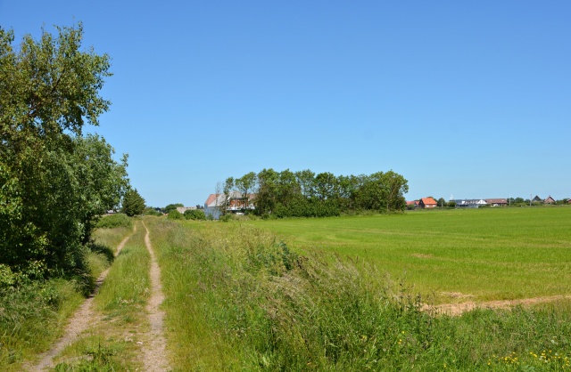 Klik for fuld størrelse