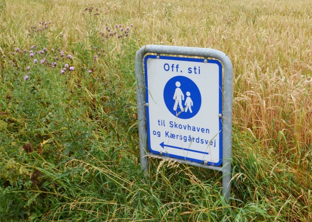 Klik for fuld størrelse