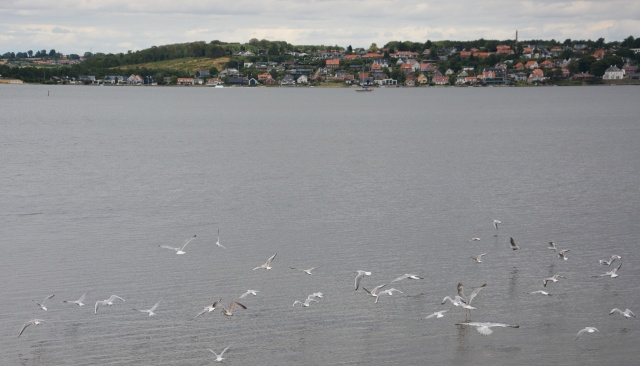 Klik for fuld størrelse