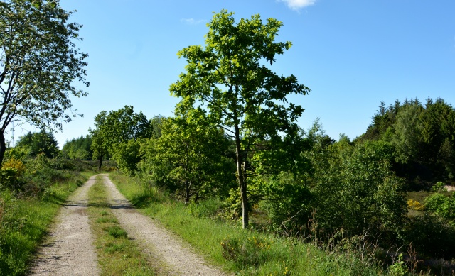 Klik for fuld størrelse