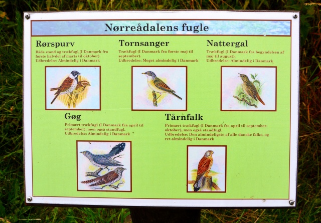 Klik for fuld størrelse