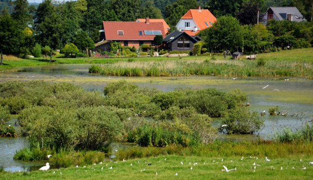 Klik for fuld størrelse