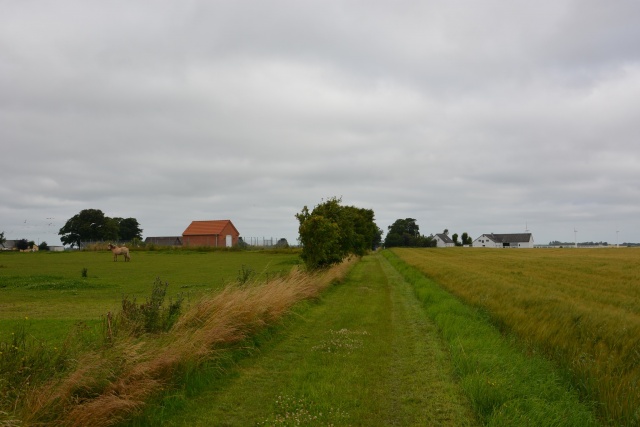 Klik for fuld størrelse